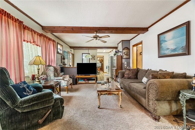 25 Lone Oak Pt, Sunrise Beach, MO 65079 - photo 1