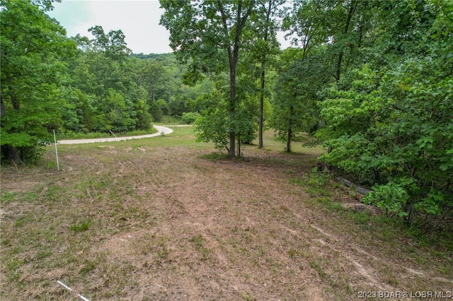 L-6 Compromise Rd, Gravois Mills, MO 65037