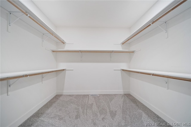 walk in closet featuring carpet flooring