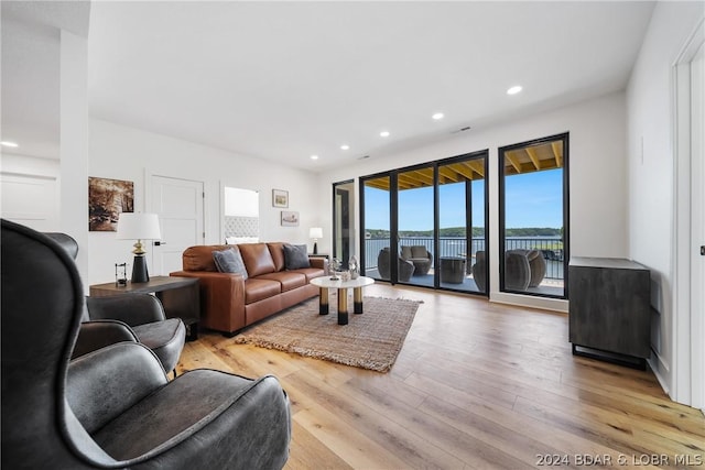 living room featuring light hardwood / wood-style floors