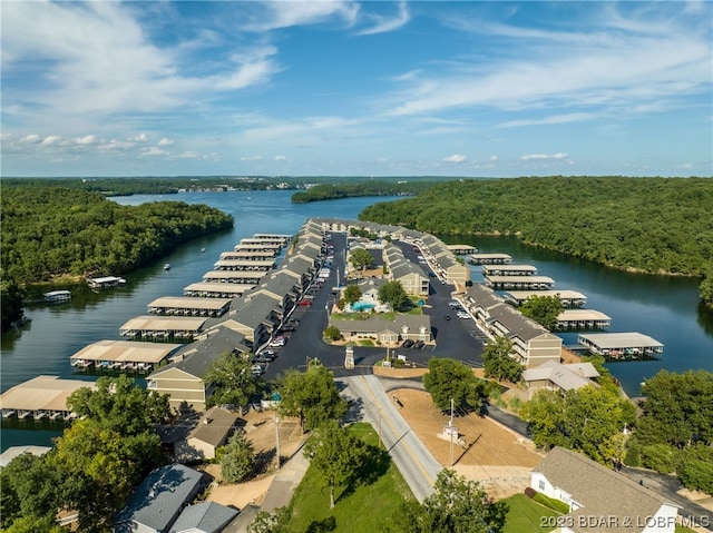 aerial view with a water view