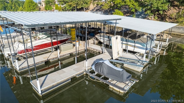 dock area with a water view