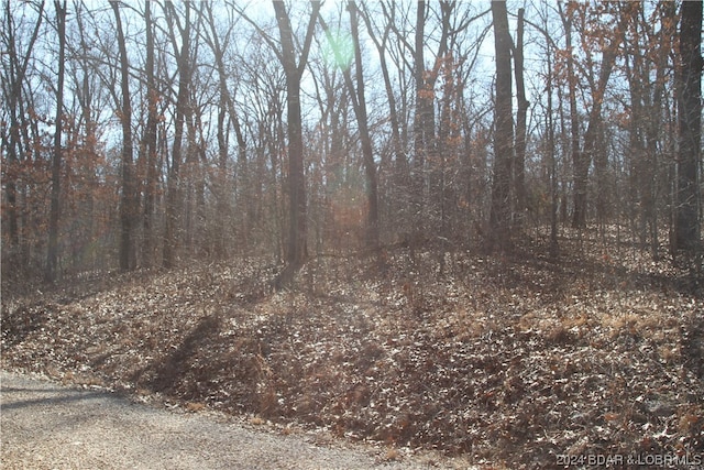 Guccione Rd, Edwards MO, 65326 land for sale