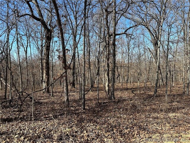 Address Not Disclosed, Edwards MO, 65326 land for sale