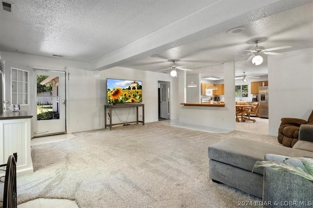 living room featuring carpet and a textured ceiling