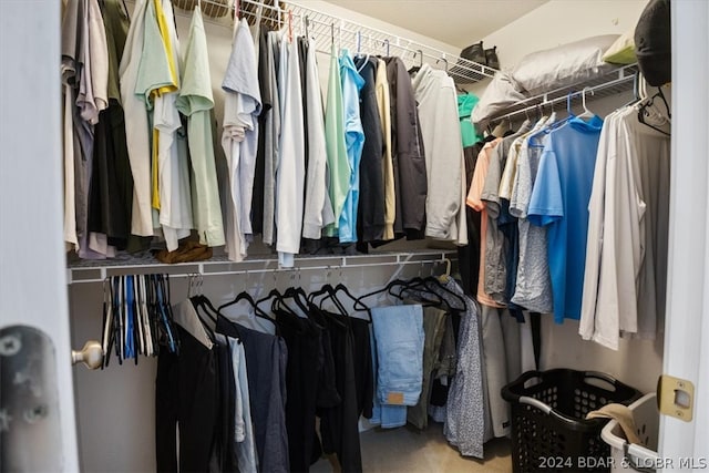 spacious closet with carpet