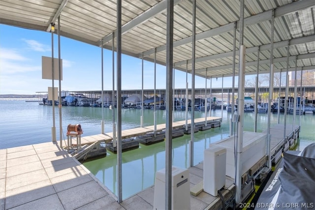 dock area with a water view