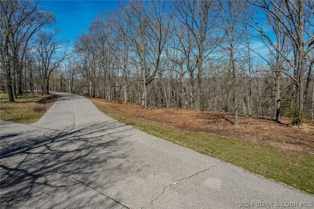 Listing photo 2 for LOT33 Craftsman Dr, Camdenton MO 65020