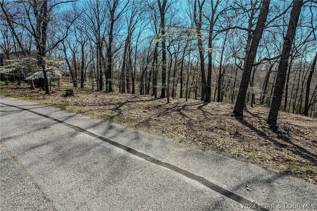 LOT13 Craftsman Dr, Camdenton MO, 65020 land for sale