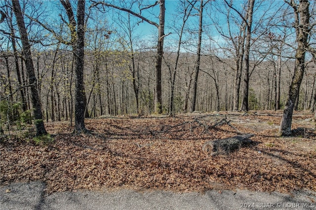 Listing photo 3 for LOT13 Craftsman Dr, Camdenton MO 65020