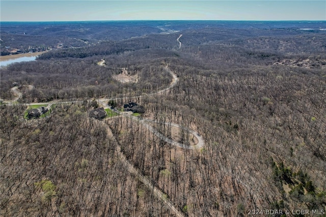 LOT13 Craftsman Dr, Camdenton, MO 65020 - photo 10