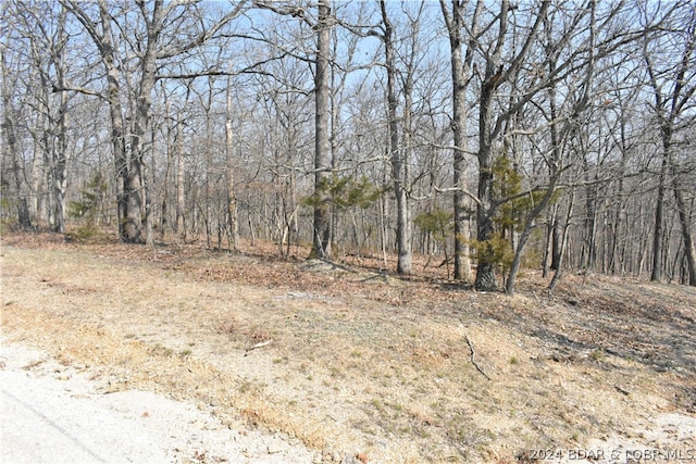 LOT378 Palisades Pt, Lake Ozark MO, 65049 land for sale