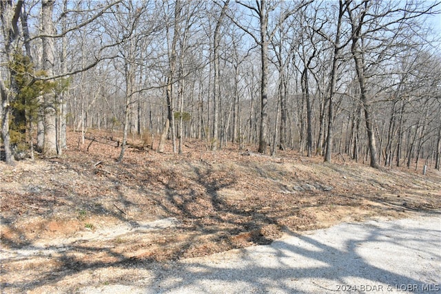 Listing photo 3 for LOT378 Palisades Pt, Lake Ozark MO 65049