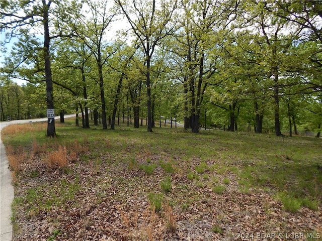 Listing photo 2 for LOT1 Matson Ln, Linn Creek MO 65052