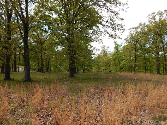 Listing photo 3 for LOT1 Matson Ln, Linn Creek MO 65052