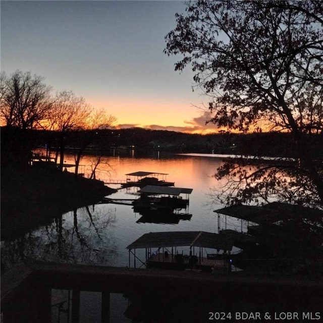 water view featuring a boat dock