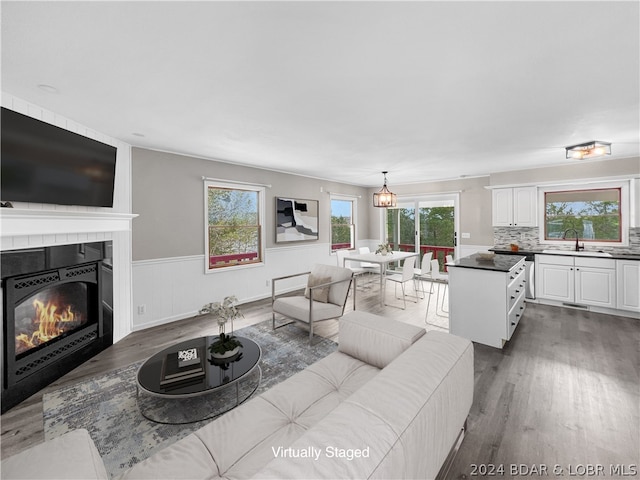 living room featuring dark hardwood / wood-style flooring and sink