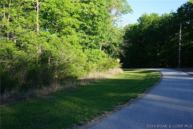 Listing photo 3 for TBD Coffman Bend Dr, Climax Springs MO 65324