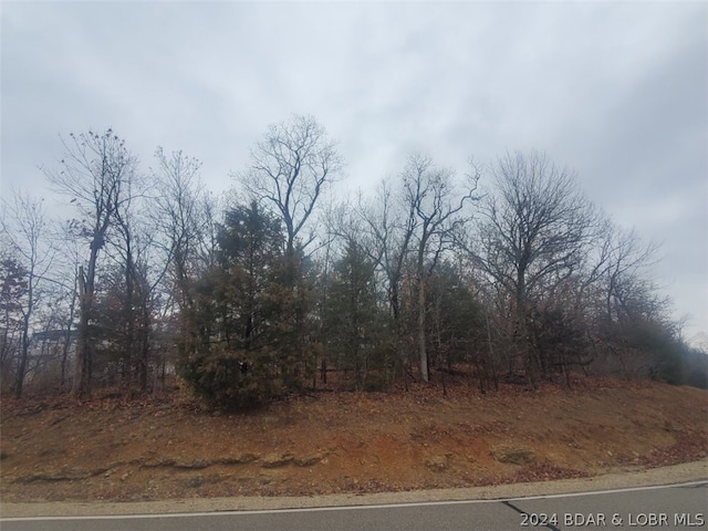 Listing photo 2 for LOT218 Imperial Dr Lot 218, Lake Ozark MO 65049