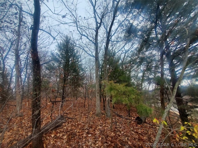 Listing photo 3 for LOT218 Imperial Dr Lot 218, Lake Ozark MO 65049