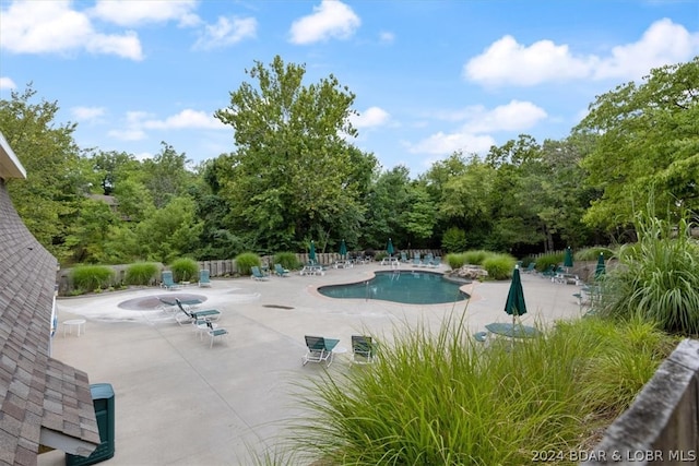 view of pool featuring a patio