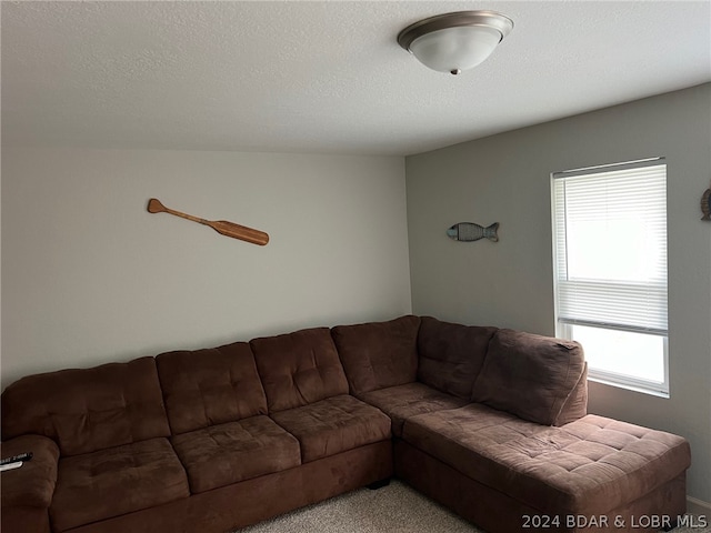 carpeted living room featuring a textured ceiling