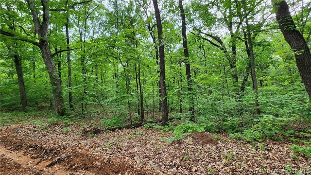 31164 Broken Circle Rd, Stover, MO 65078 - photo 5