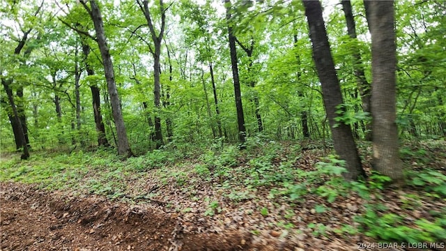 31164 Broken Circle Rd, Stover, MO 65078 - photo 6