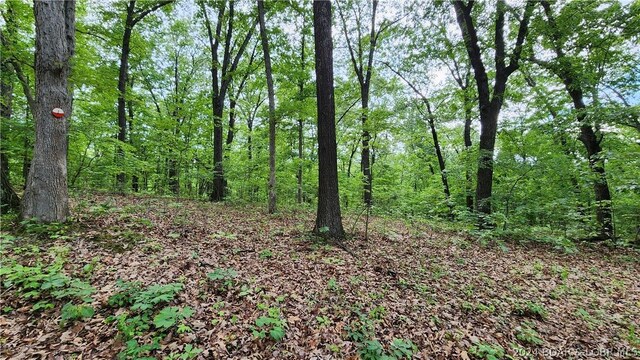 31164 Broken Circle Rd, Stover, MO 65078 - photo 7