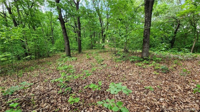 31164 Broken Circle Rd, Stover, MO 65078 - photo 8