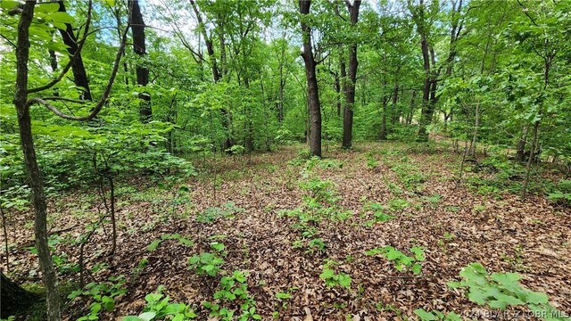 31164 Broken Circle Rd, Stover, MO 65078 - photo 9