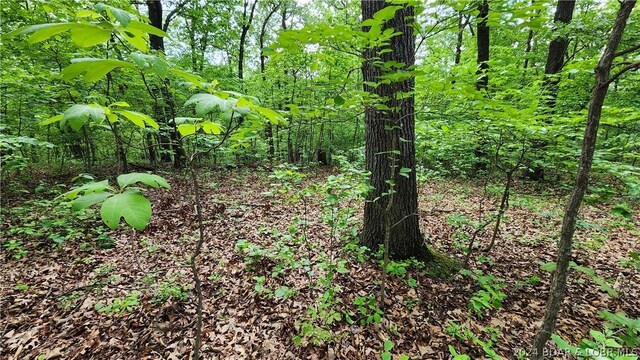 31164 Broken Circle Rd, Stover, MO 65078 - photo 10