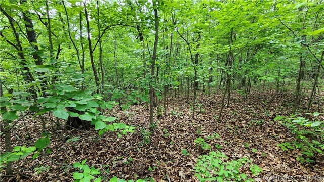 31164 Broken Circle Rd, Stover, MO 65078 - photo 11