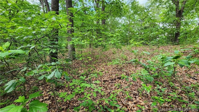 31164 Broken Circle Rd, Stover, MO 65078 - photo 13