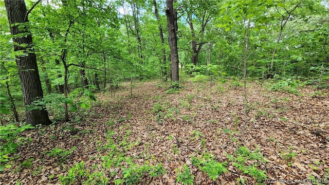 31164 Broken Circle Rd, Stover, MO 65078 - photo 15
