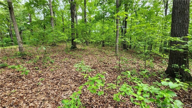 31164 Broken Circle Rd, Stover, MO 65078 - photo 17
