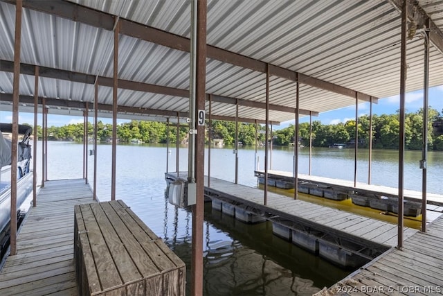 dock area with a water view