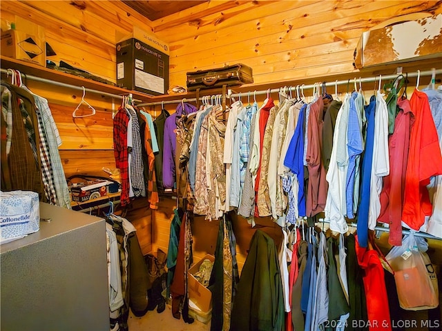 view of spacious closet