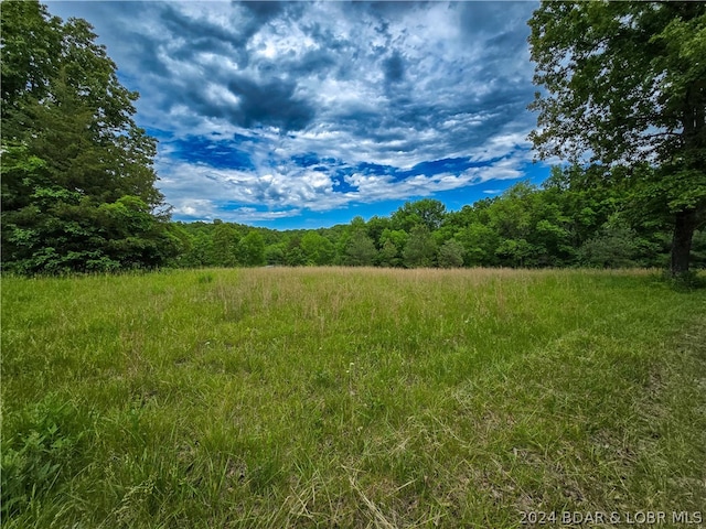 view of local wilderness