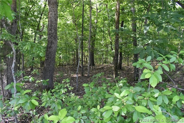 Listing photo 3 for LOT100 Horseshoe Bend Pkwy, Lake Ozark MO 65049