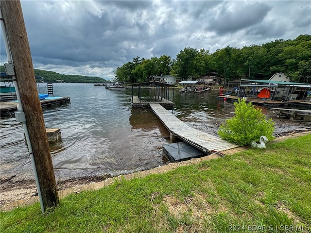 dock area with a water view