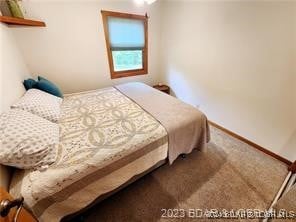 view of carpeted bedroom