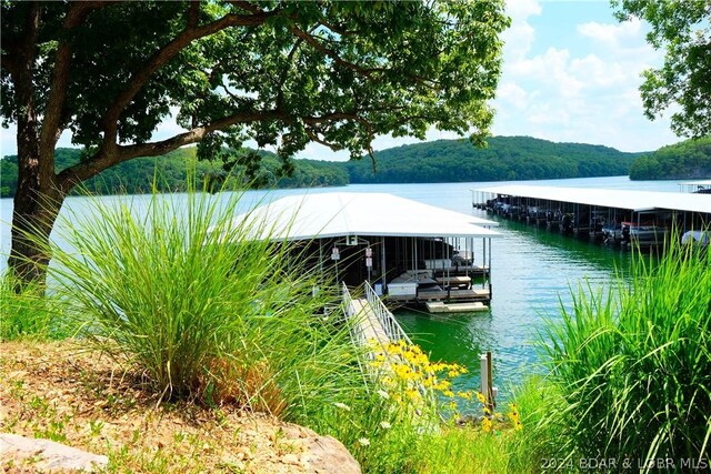 dock area with a water view and a forest view