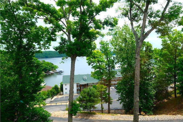property view of water