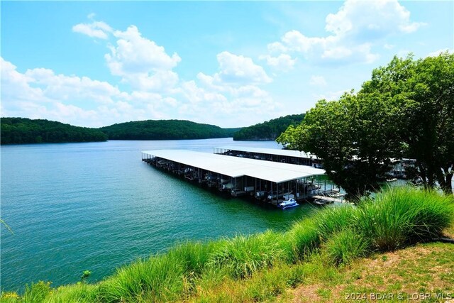 dock area featuring a water view and a view of trees
