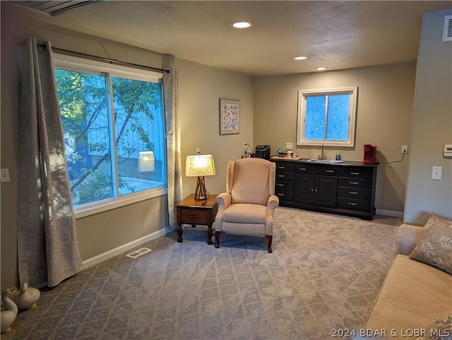 living area featuring wet bar and light carpet