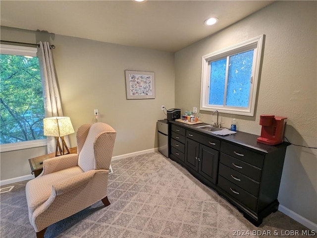 interior space featuring light colored carpet and sink