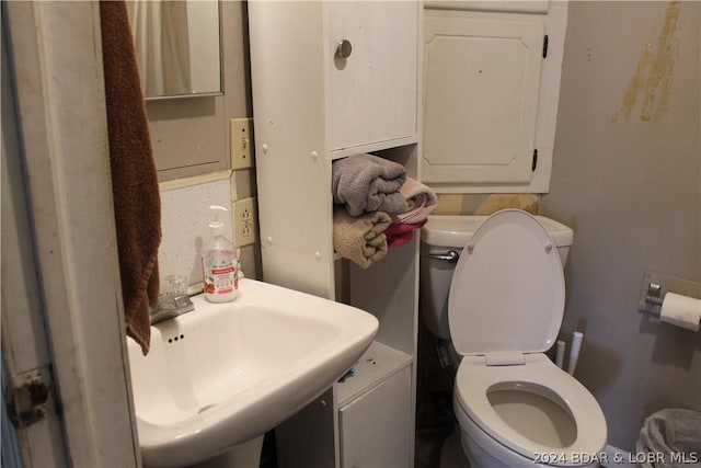 bathroom with toilet and sink