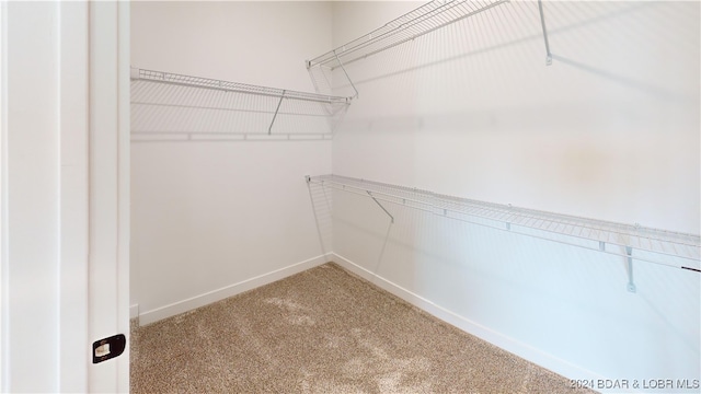 walk in closet with carpet