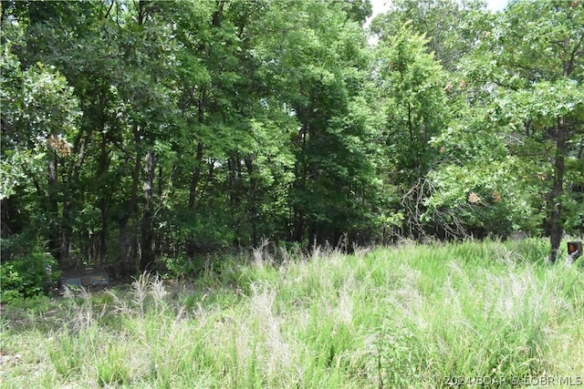 LOT1069 Champions Run, Sunrise Beach MO, 65079 land for sale